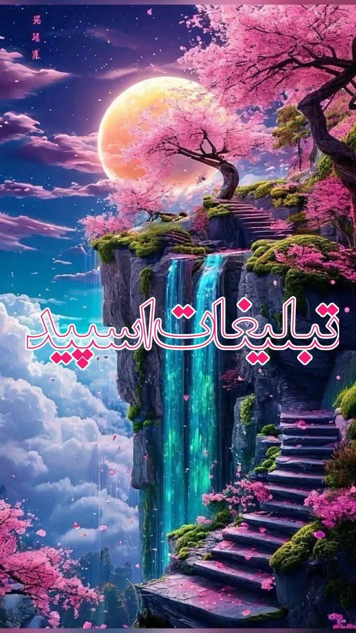 دوستان بامعرفت (20)