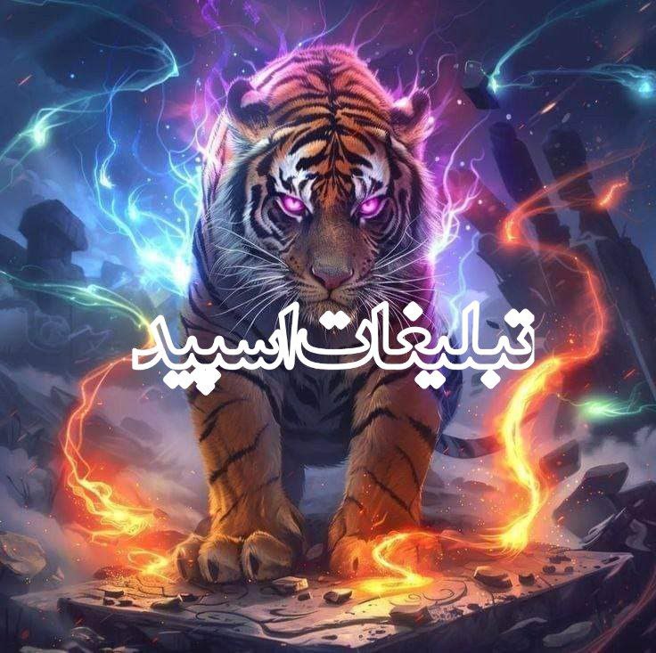 سیتی لند (3)