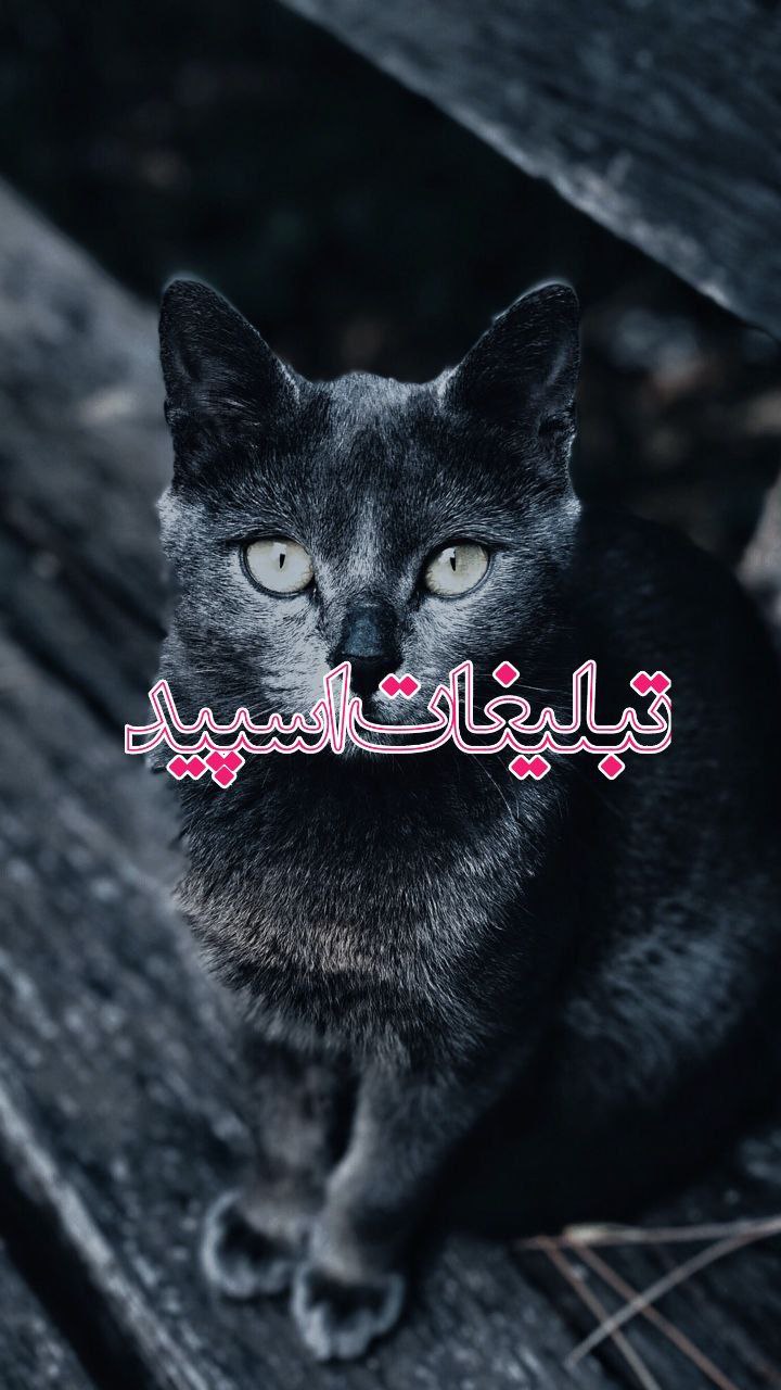 دورهمی دوستانه (3)