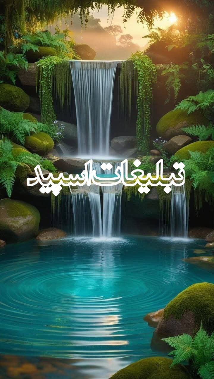 🌹🌹کافه دنج ❤️❤️ 50❤️❤️60🍻 (1)