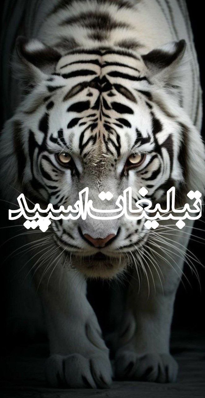 کلبه آرامش (9)