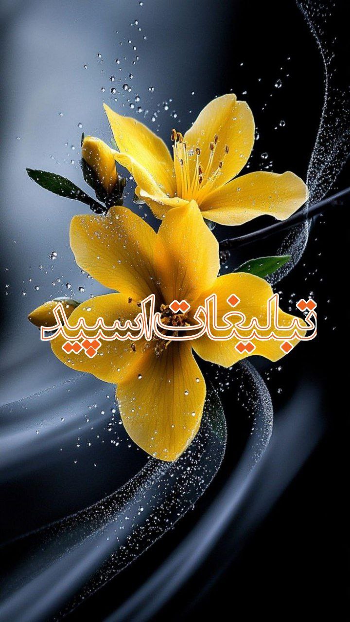 ♥... ♬حـســ 𝙉𝘼𝘽✞ ...♥ (9)