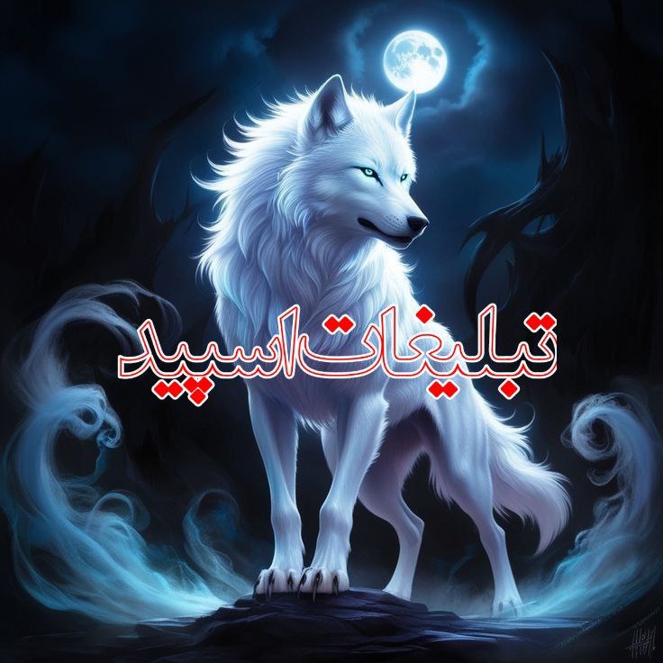برکه دوستی (1)
