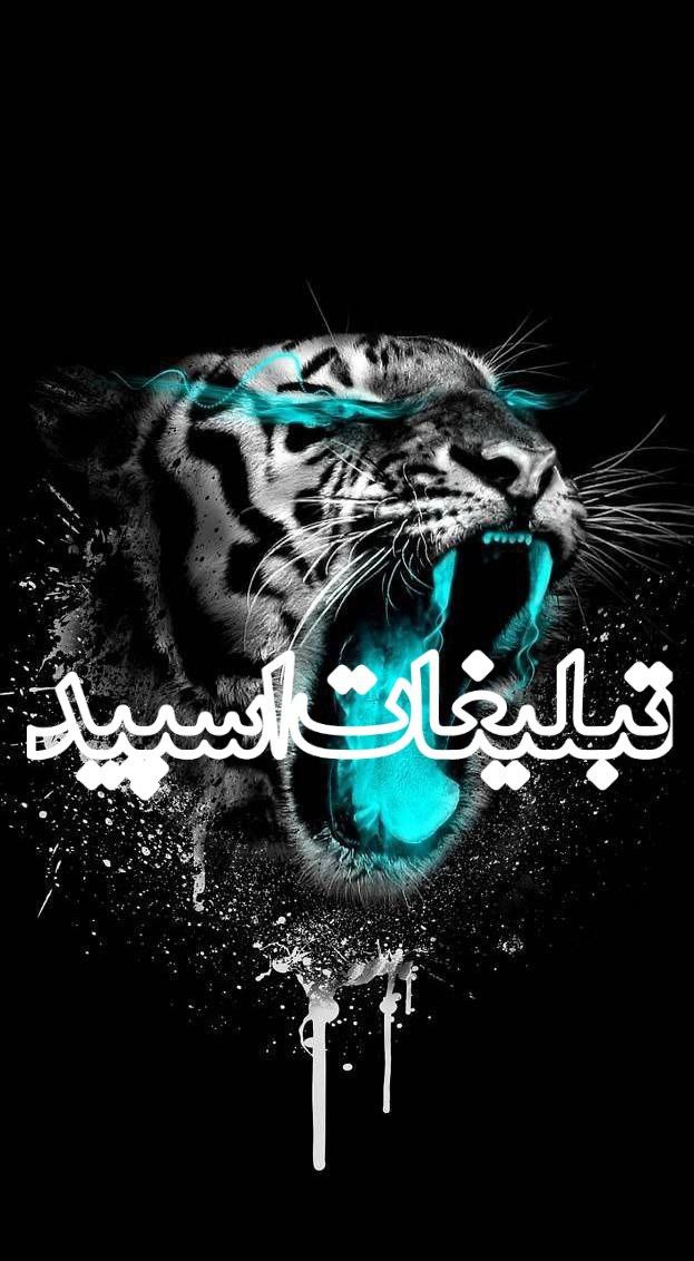 وایلد ولف (270)