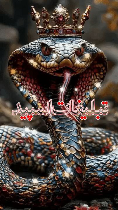 ❣کلبه رفقا ❣