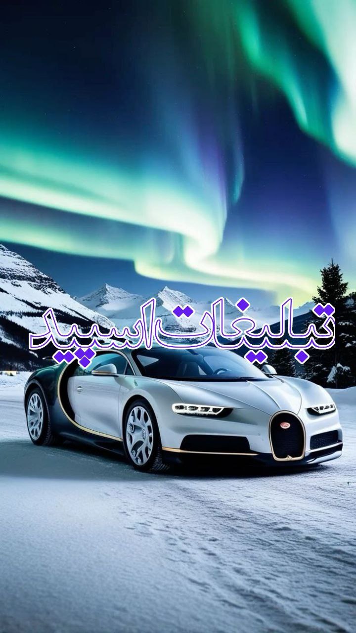 وایلد ولف|WILD WOLF (4)