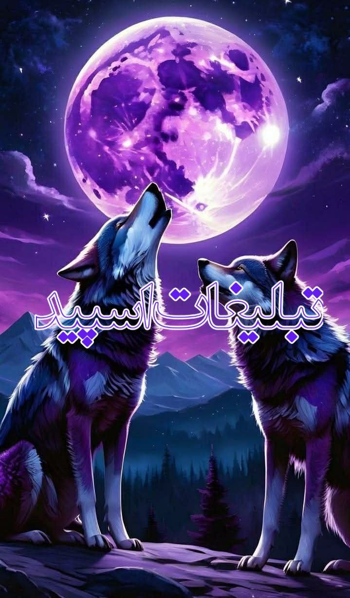 رفقای ناب💞