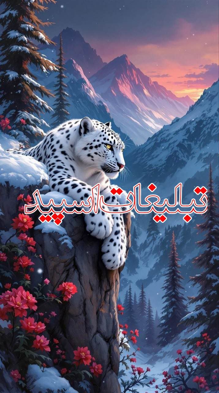 ››▽͟͞𖠇▴⸼𓎂𝐆𝐀𝐏 𝐃𝐎𝐑𝐄𝐇𝐀𝐌𝐈 ▹🔥⸼₍𝐽𝑎𝑁₎ ͛▴⸼ (8)