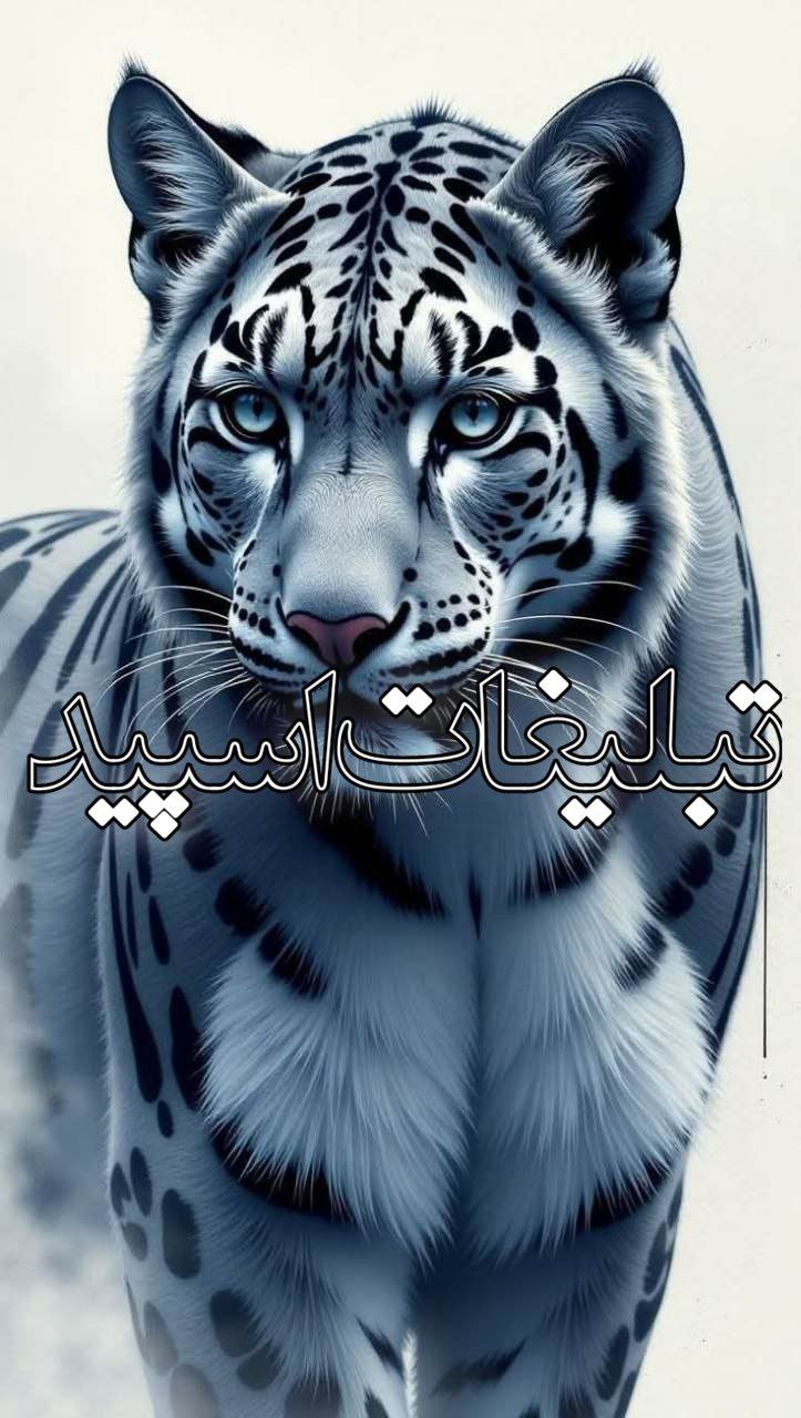 تبلیغات