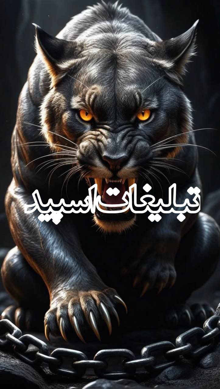تبلیغات