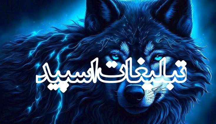 وابلدولف (2)