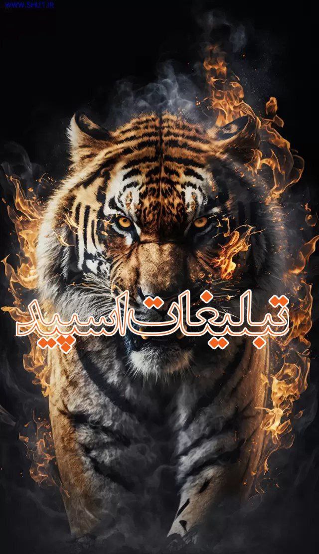 کانال ایتای آنلاین شاپ ثمین
