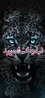 کافه رفقا ناب