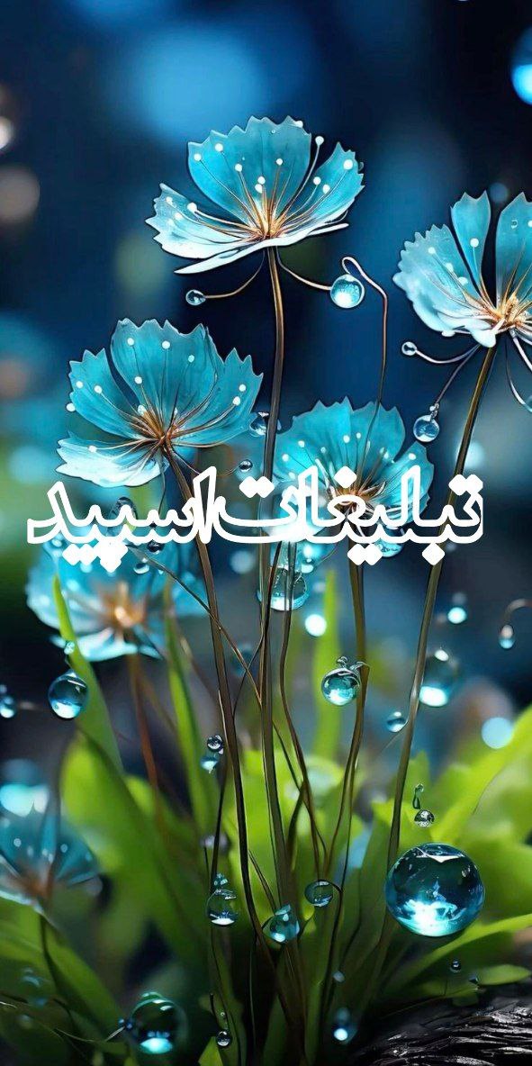 دوستان لاکچری (8)