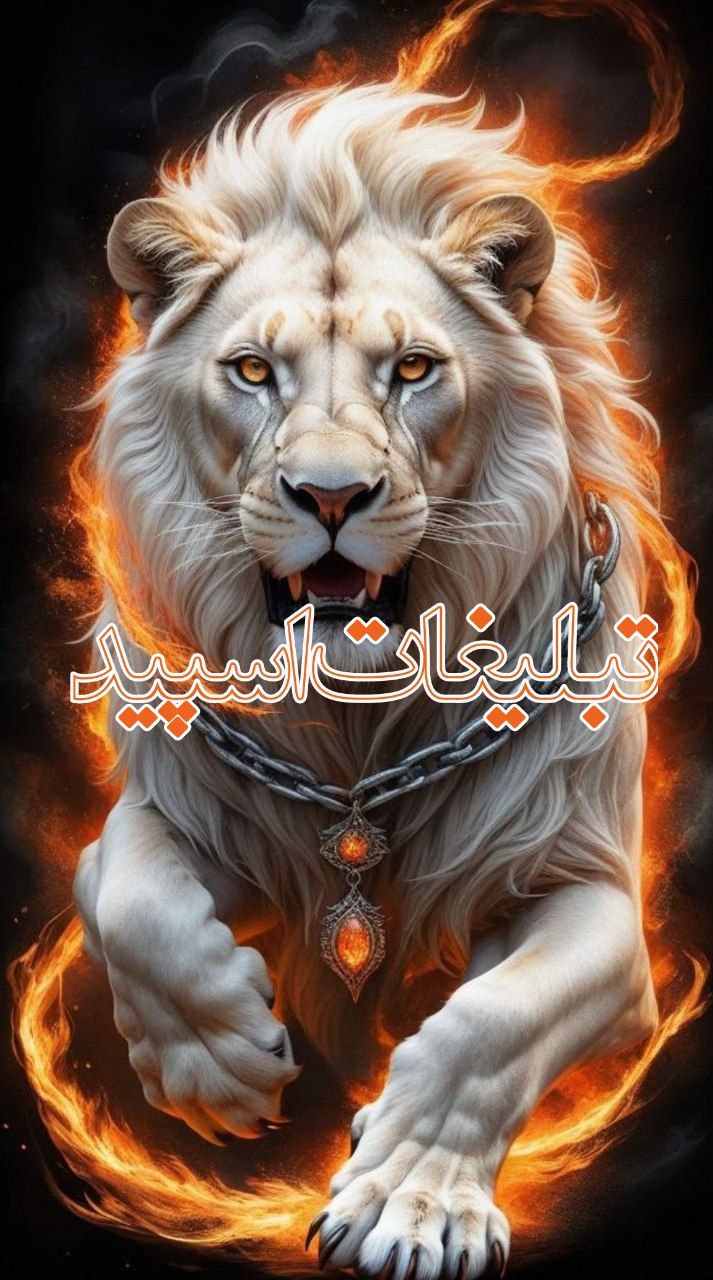 دورهمی لاکچری 💖