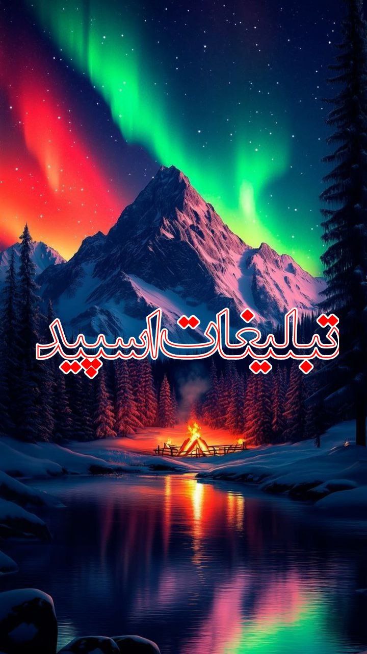 وایلد ولف (338)