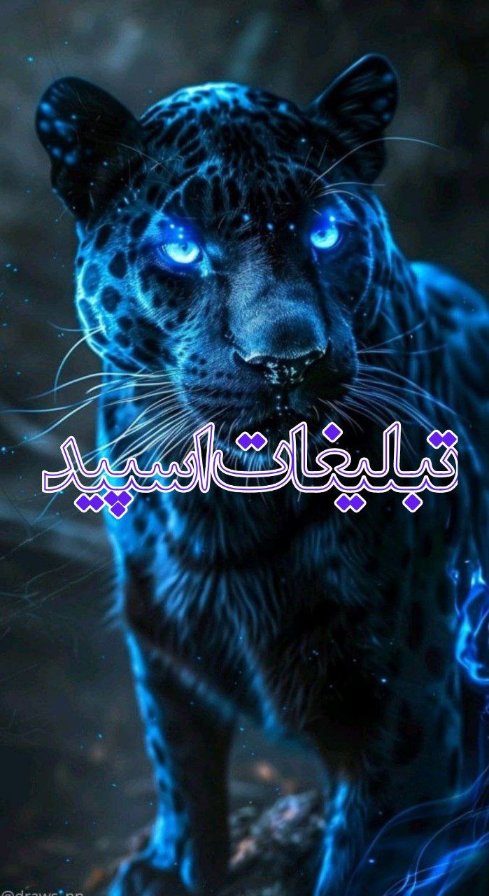 همدان سیتی🤞