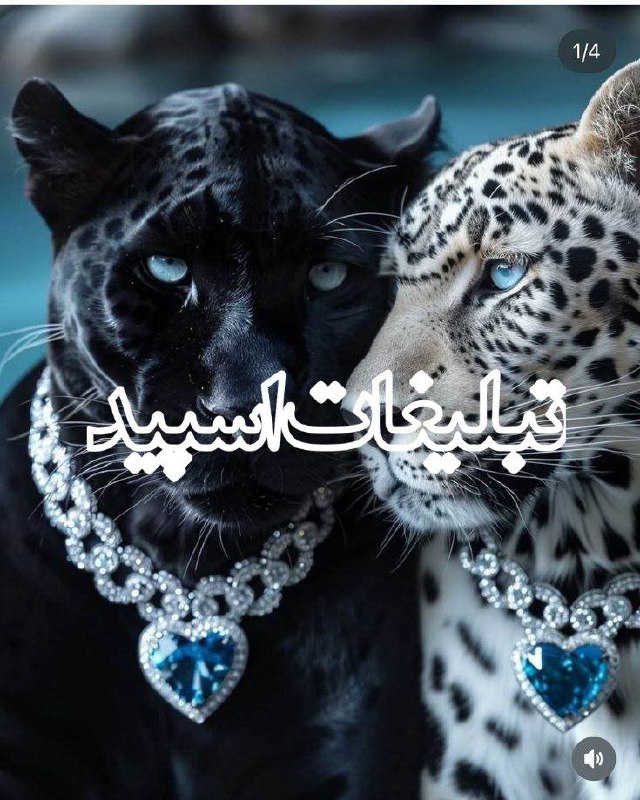دورهمی دوستان ❤️ (19)