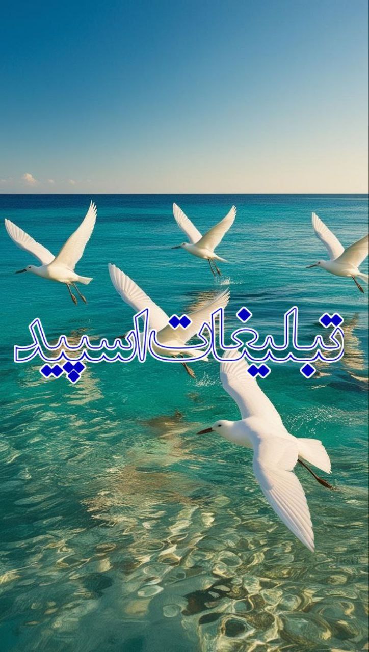 💞شب های رومانتیک 💓