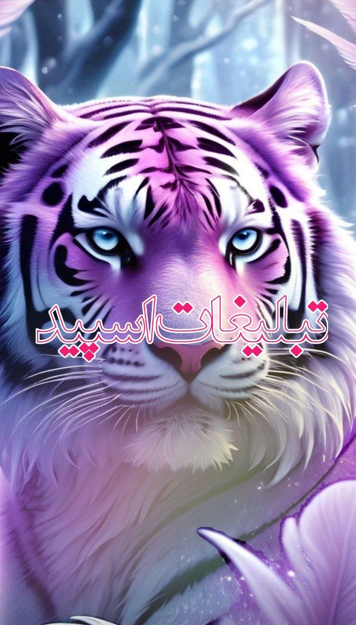 کلبه دوستی (10)