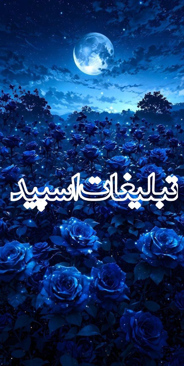 وایلد ولف (234)