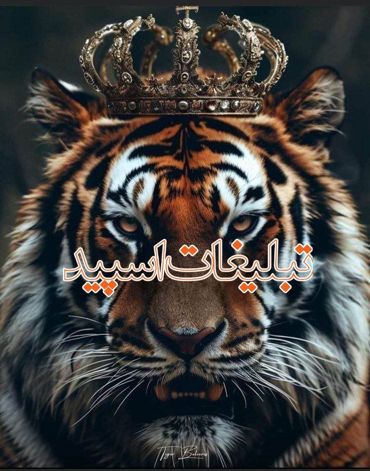 ༺ سَلطَنَتِ عِشقِ ༻ (1)