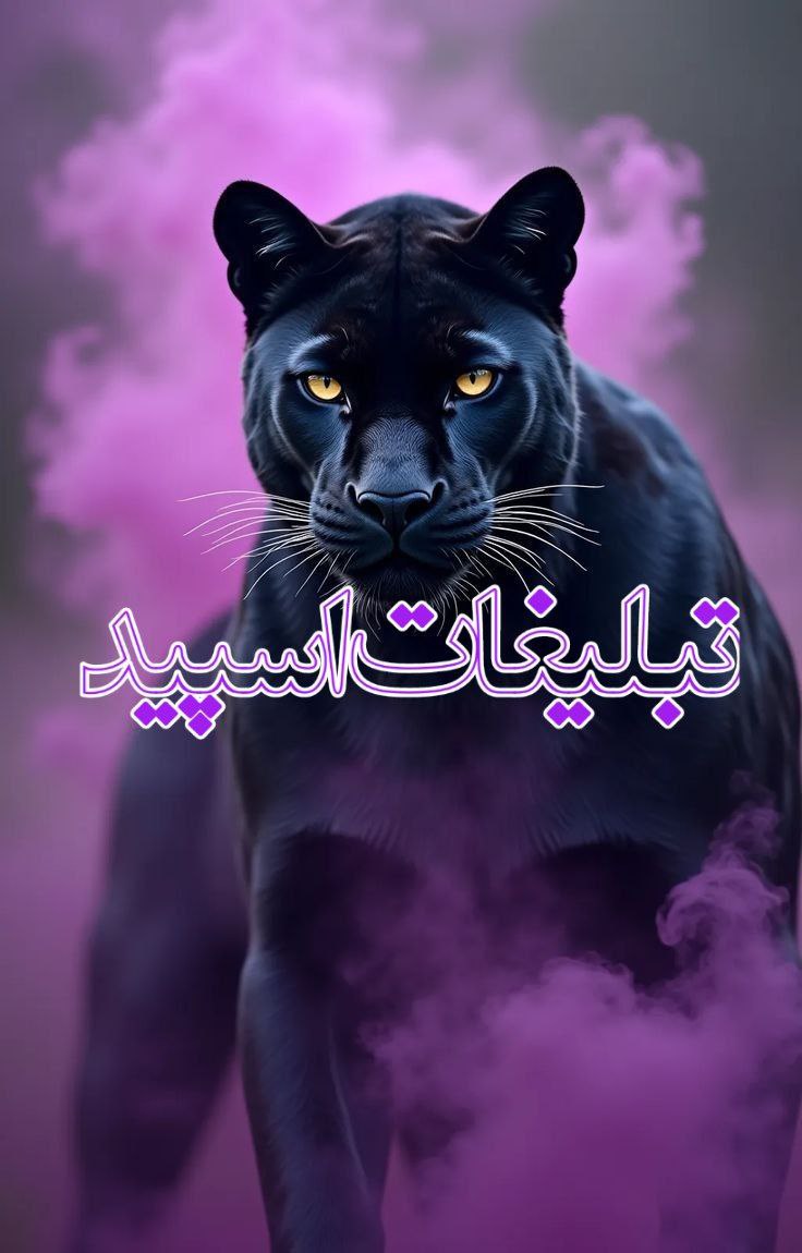 مکزیکو