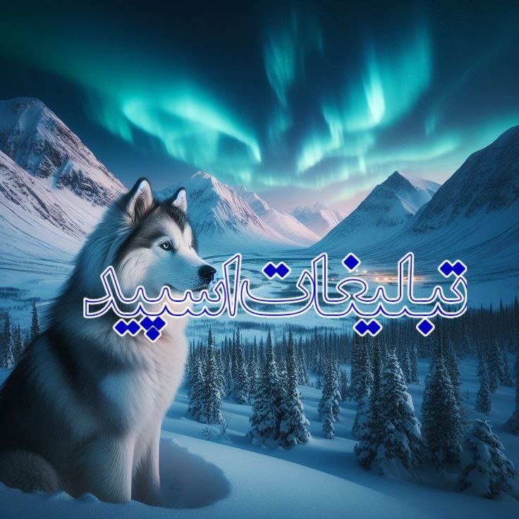 ✍عرض ادب وارادت 💞
🌹 فـحش ،توهین ،ناسزا ⌫ممنو؏
🌻 مثـبتـــ🔞 ⌫ ممنو؏🚫