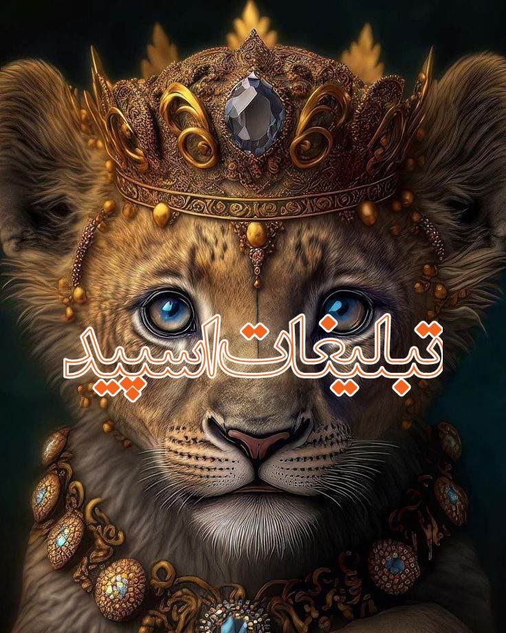 کیوت لند (9)