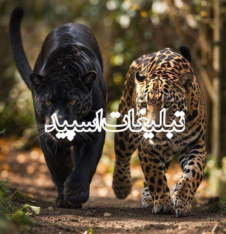 بیا بزنیم بترکونیم 😌