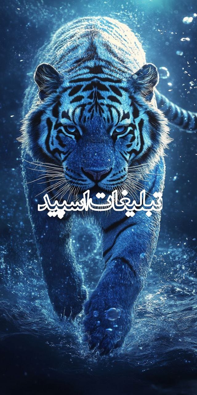 🩵 ترنم عشق 🩵