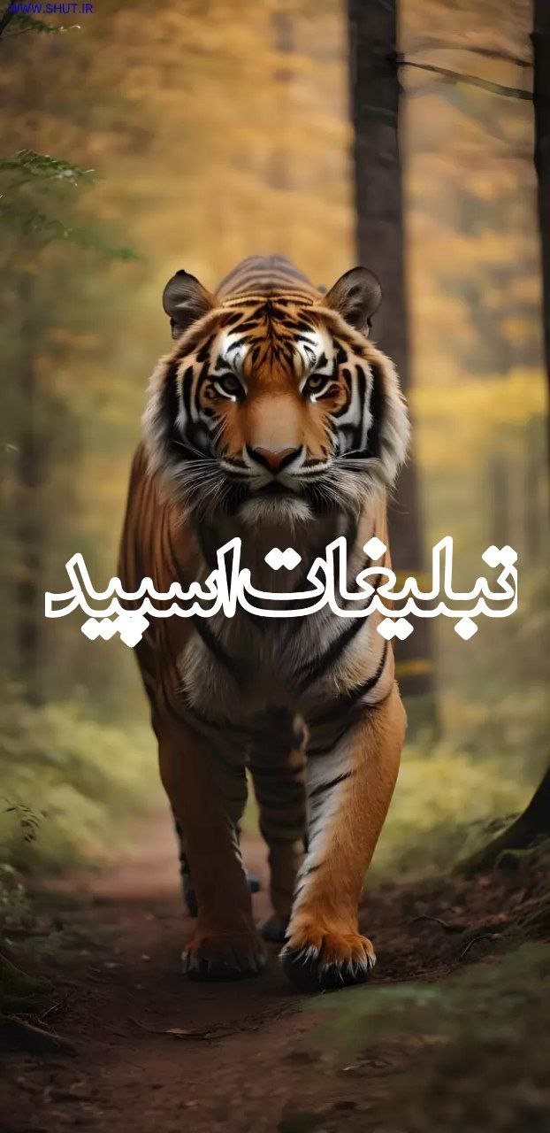 ❤️پاتوق لاکچری❤️