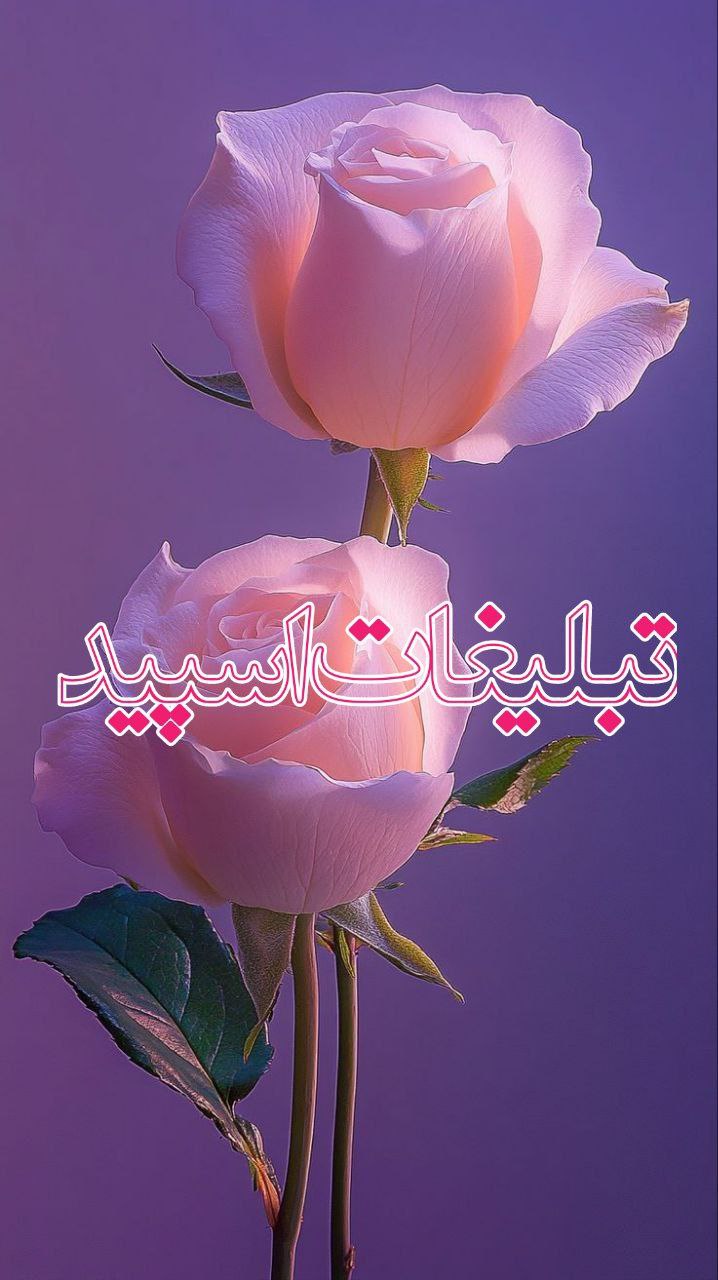 وایلد ولف (119)