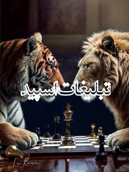 سیتی لند