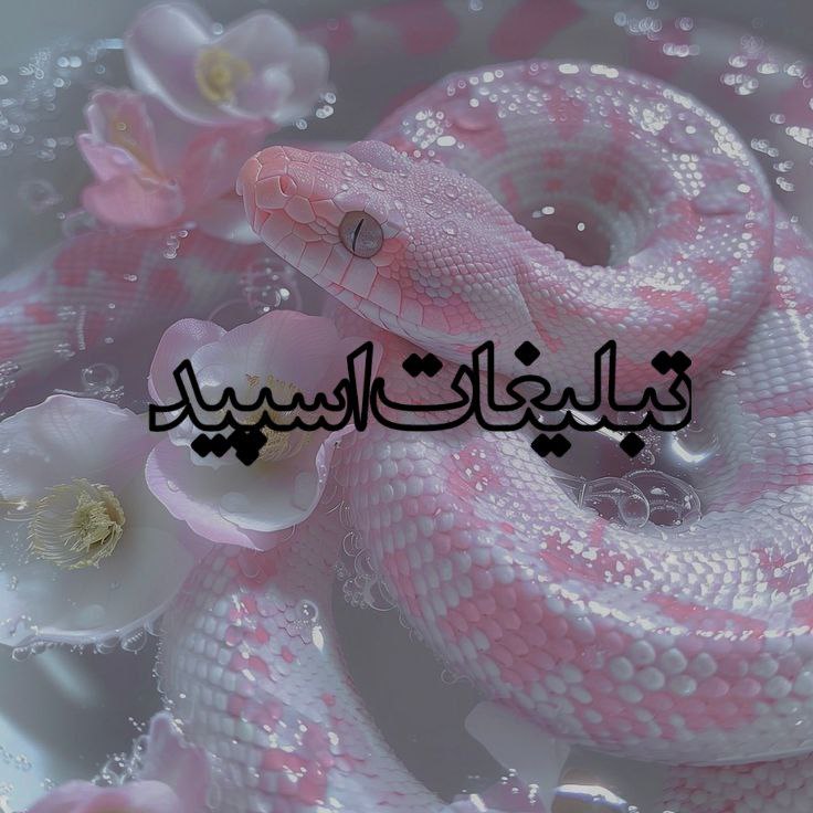 پاتوق دوستان