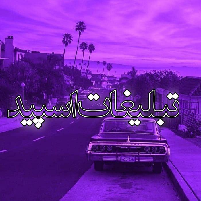 ⭐𝑆𝐸𝑉𝐸𝑁 𝑆𝑇𝐴𝑅⭐ (3)