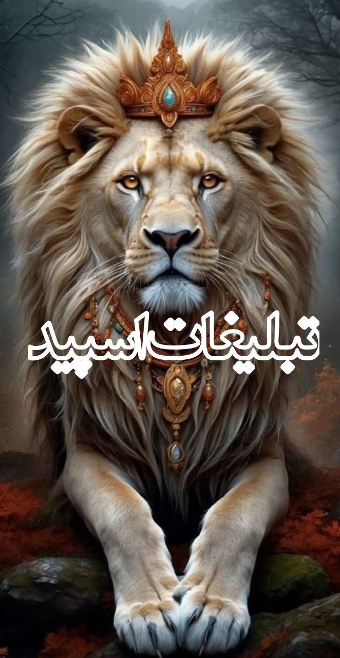 شب‌های زیبای بندر عباس (2)