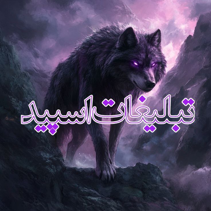 گروه دورهمی تگزاس (35)