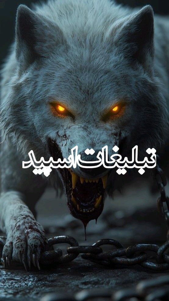 دوستان بامعرفت (5)
