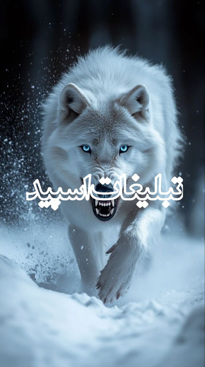 ❤️ ارامش ومحبت ❤