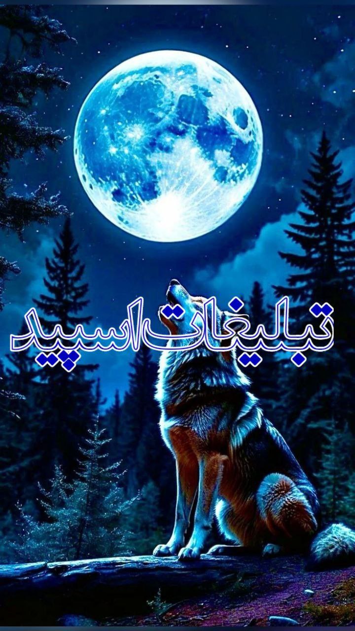 کٖؒلبٖؒـٖؒہ اےٖؒ مٖؒجٖؒازٖؒےؒ بٖؒا دوٖؒسٖؒتانِٖؒ وٖؒاٖؒقعی 🩵 (9)