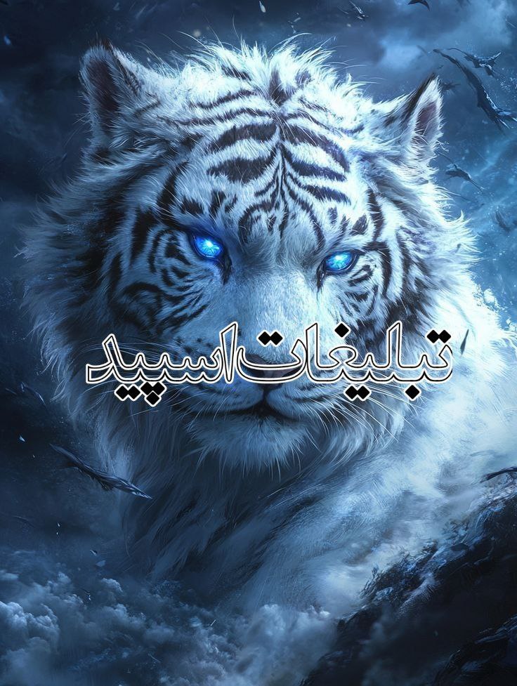 تبلیغات