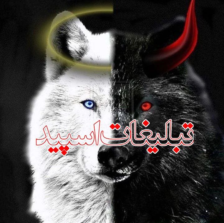 تبلیغات
