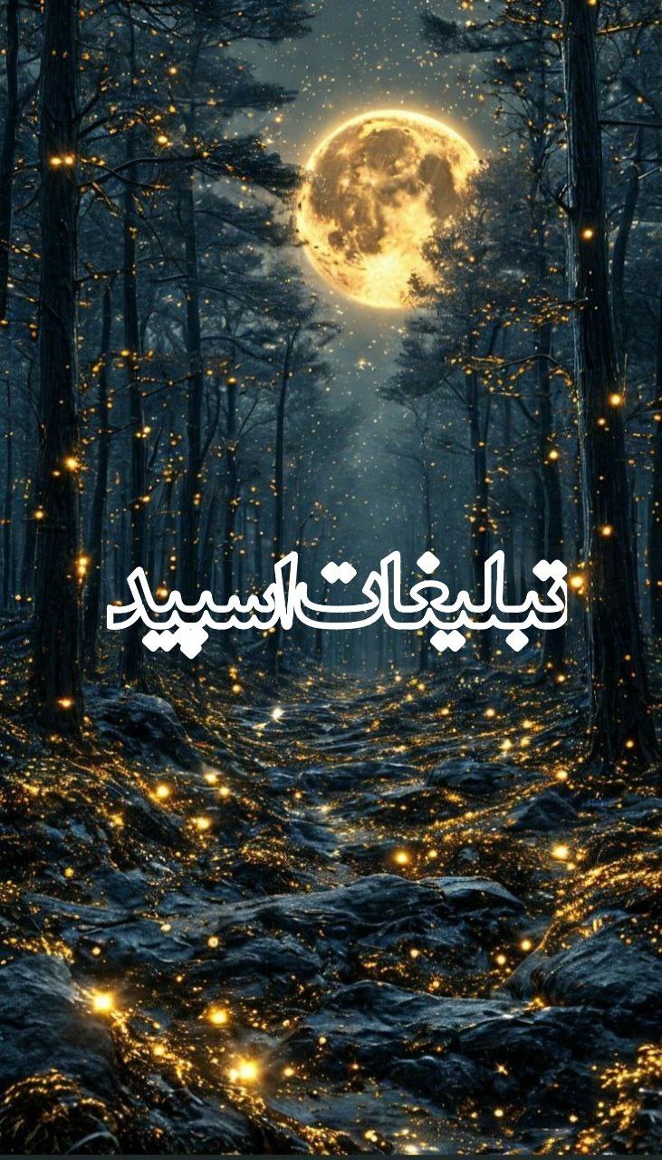 🌙✨شـب نـشـیـنـی بـا پـلـنـگ 🐆