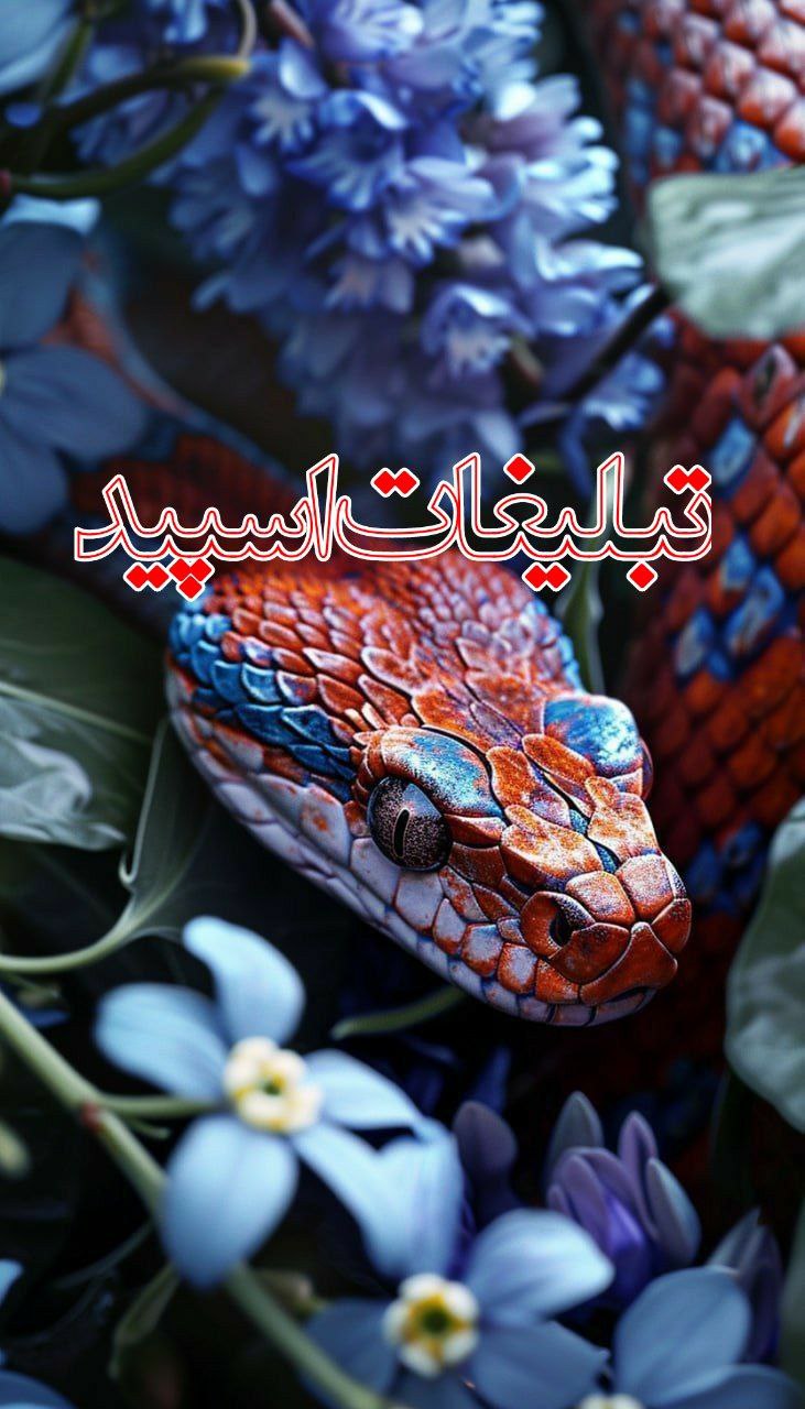 💞ࡏࡋ‌بہ ࡃߊ‌ش‍‌ܧߺ‌ی💞