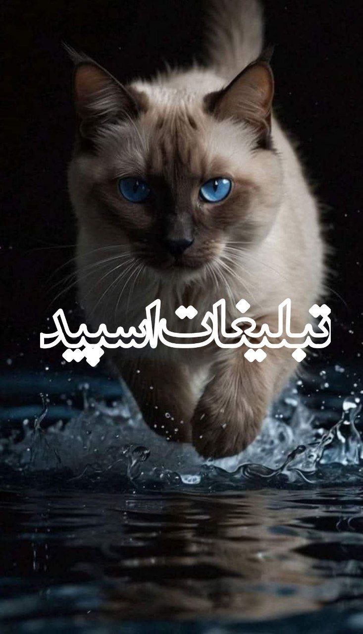 ❤️گروهکده 70,60