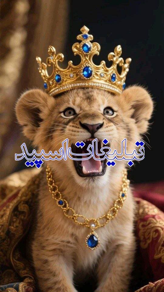 👑🍷گ❤️پ دوستانه🍷👑 (1)