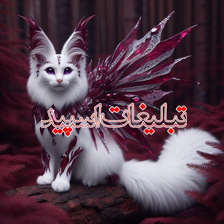 ❤️کلبه عشق ❤️ (4)