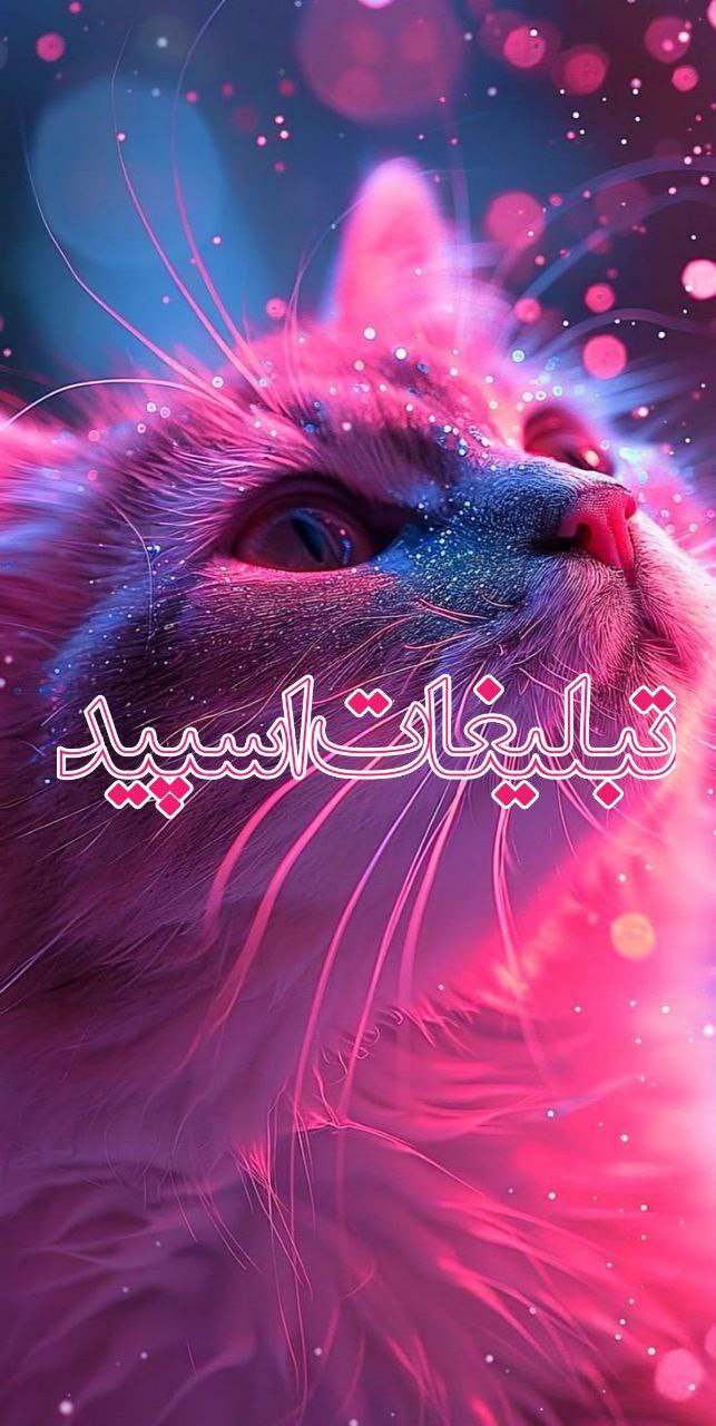 دوستان ماندگار (4)
