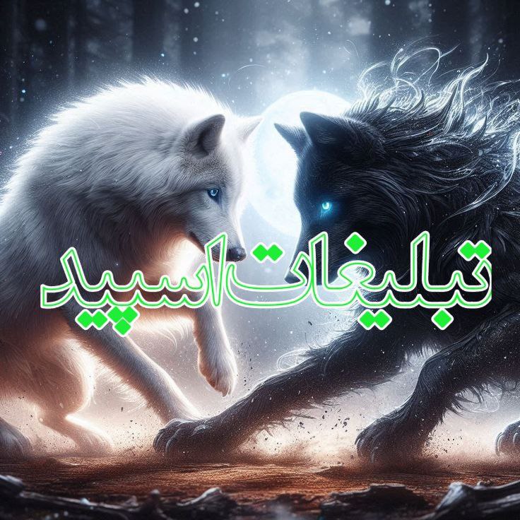 ❇️❤️دورهمی‌باجنبه‌ها❤️❇️